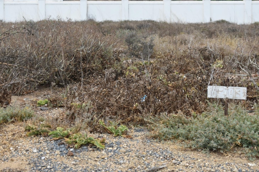 0 Bedroom Property for Sale in Blueberry Hill Western Cape